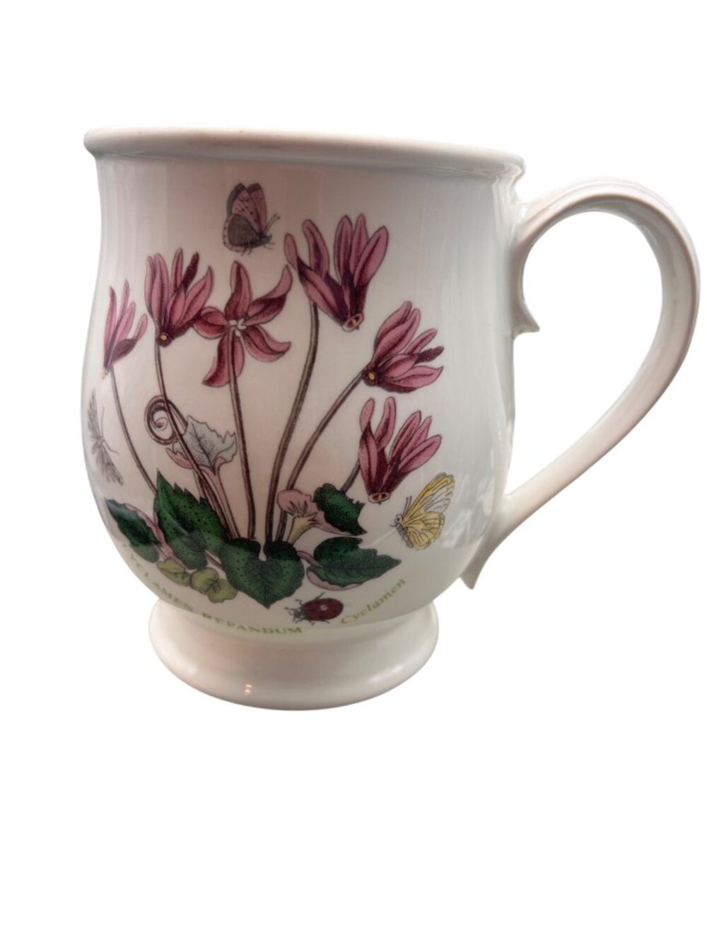 Portmeirion Botanic Garden Bristol Tankard Pedastal Mug Cyclamen Repandum Floral